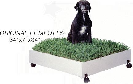 Original PETaPOTTY