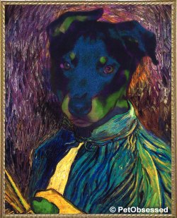 Vincent van Gogh - Self Portrait