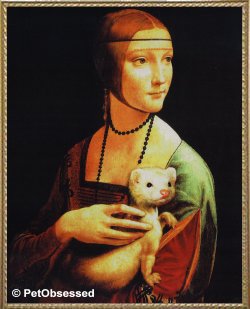 Leonardo da Vinci - Lady with Ermine