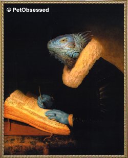 Rembrandt - A Scholar