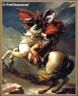 Jacques-Louis David - Bonaparte at Mont St Bernard